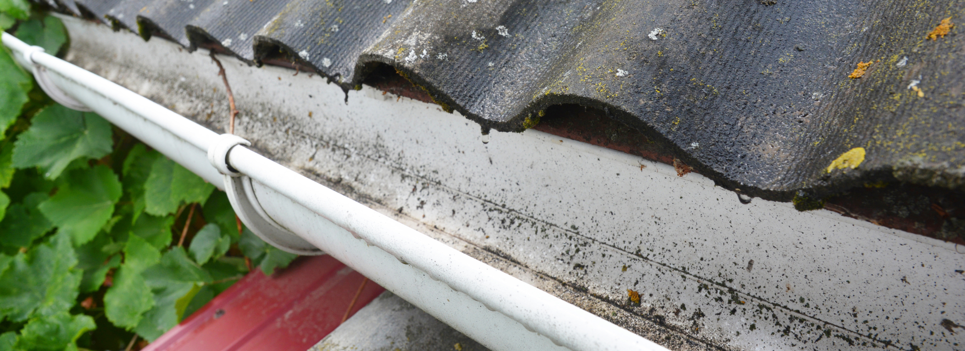 Gutter Cleaning York, North Yorkshire York Gutter Cleaners